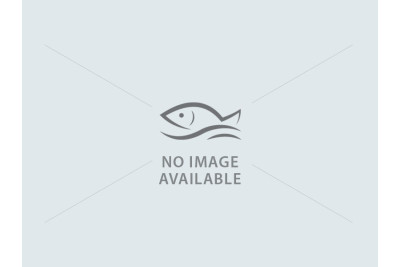 Mackerel / Ayala {5 to 9 count /kg}